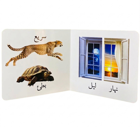 كلماتي الأولي - المعكوسات