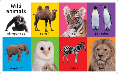 First 100 Animals - Board Book