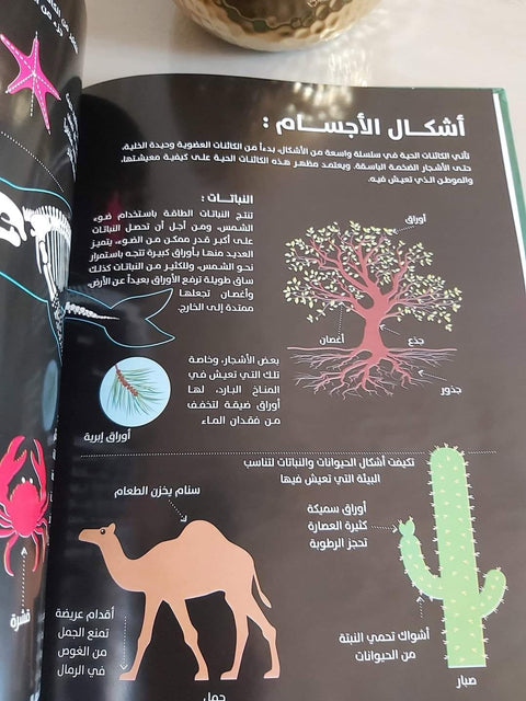 العلوم بالرسوم البيانية - الكائنات الحية