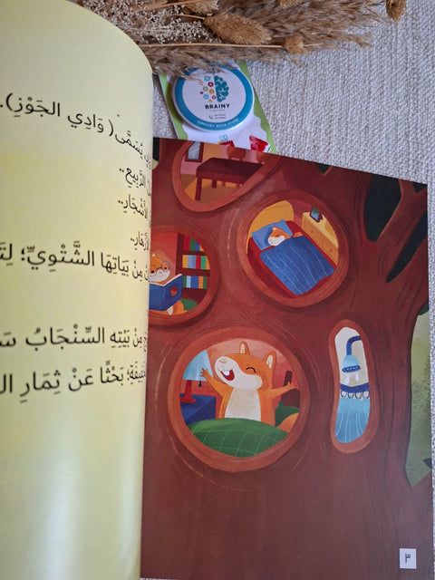 لغز وادي الجوز