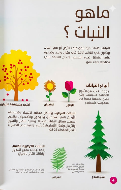 العلوم بالرسوم البيانية - النباتات