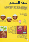 العلوم بالرسوم البيانية - النباتات