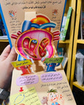 موسوعة جسم الإنسان المجسمة - الدماغ و القلب