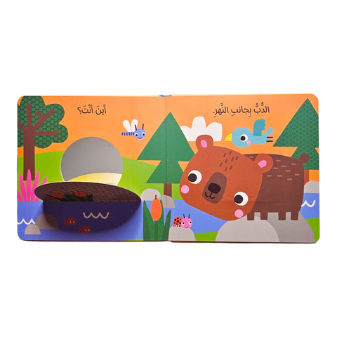 انظر من هنا – الدب في الغابة 🐻🌲