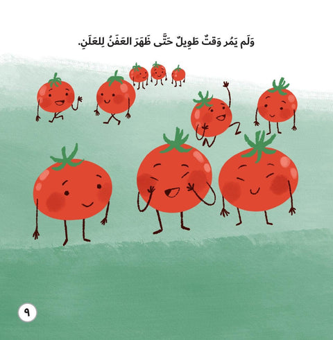 مدينة قفص الطماطم