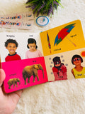 Numbers ,Colors ,Shapes