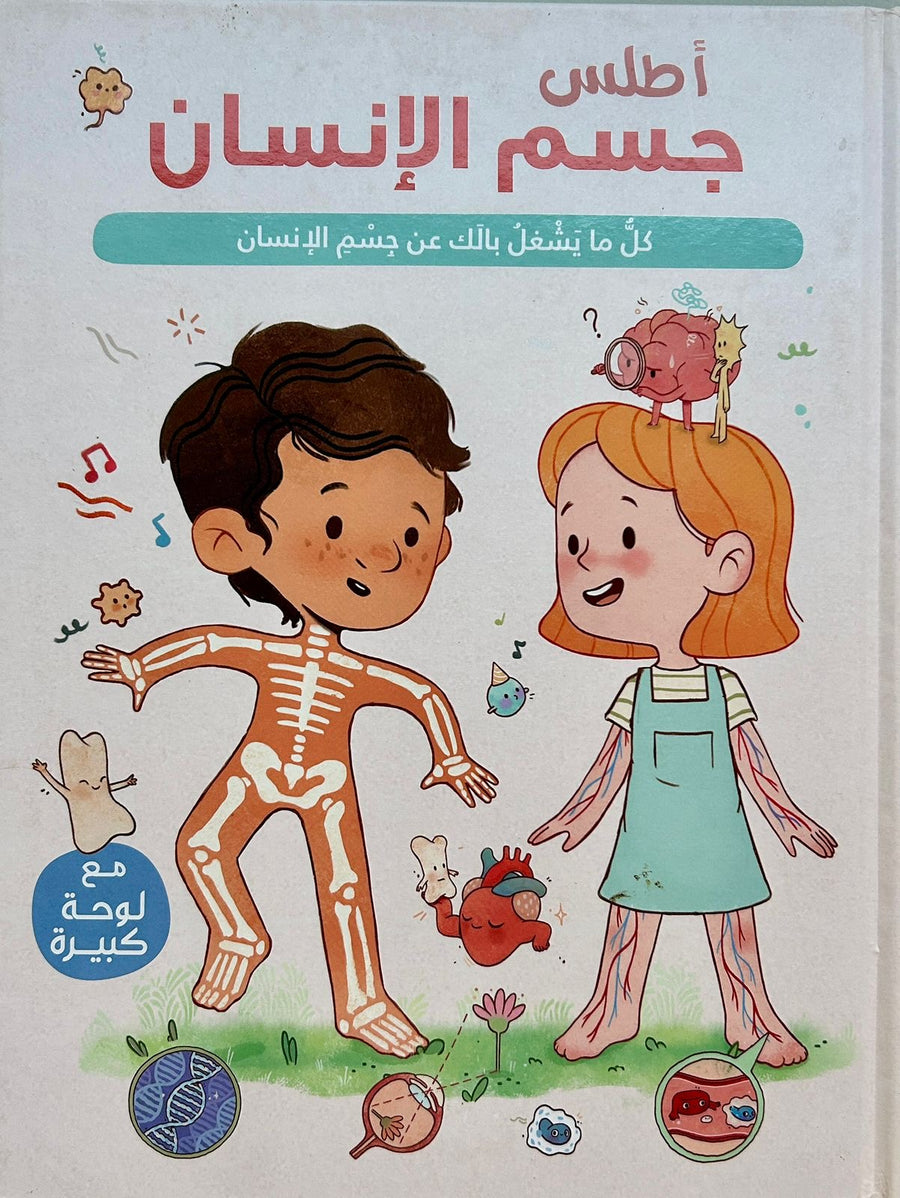 أطلس – جسم الإنسان