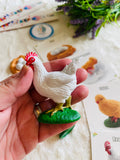 مجسم دورة حياة الدجاجة