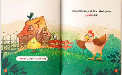 مبسوط وأسرار البيوت
