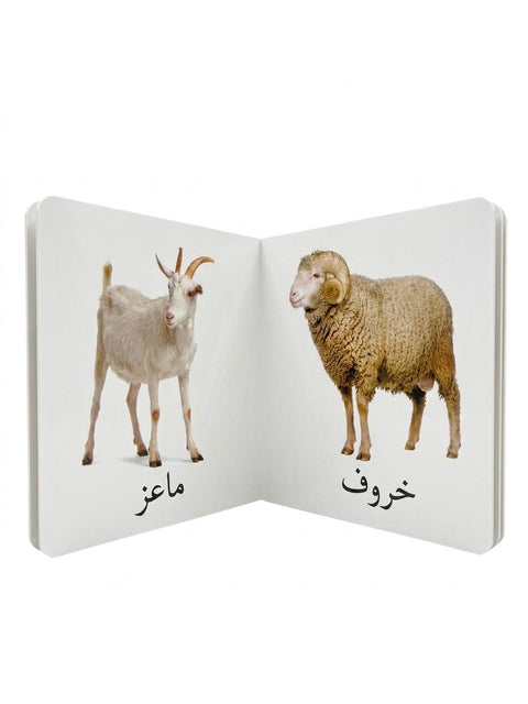 كلماتي الأولى – حيوانات المزرعة
