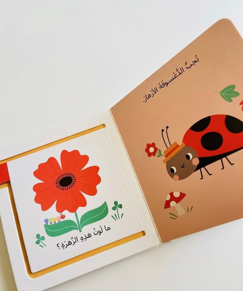 خلف كل صفحة مفاجأة - الألوان