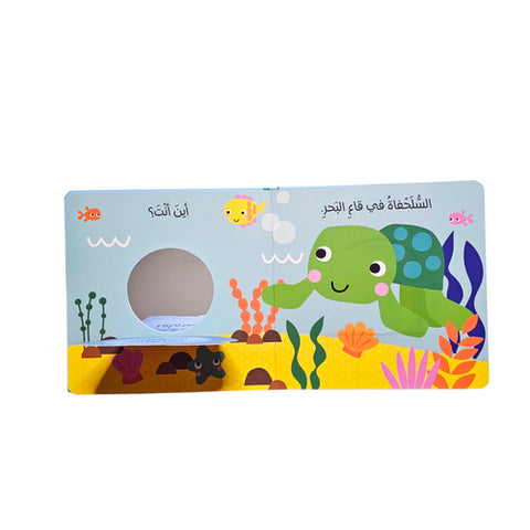 انظر من هنا – المحيط 🌊🐠