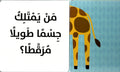 مَنْ أنا؟ – حيوانات برية